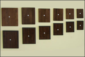 plaque