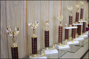 trophy